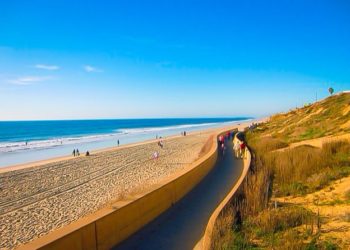 carlsbad, local, babies in bloom guide