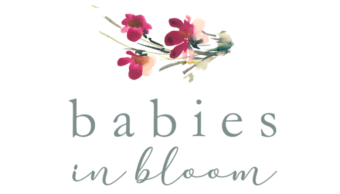 Babies in Bloom Logo