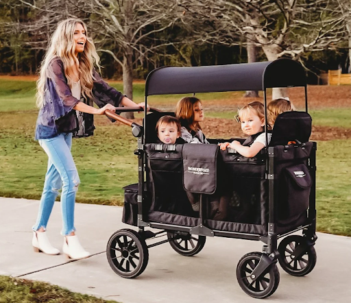 Which is Best? Double Stroller or a Stroller Wagon