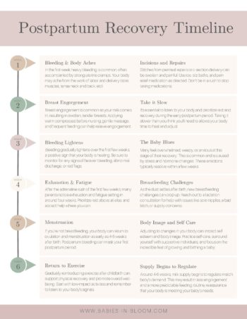 Postpartum Recovery Timeline - Babies in Bloom